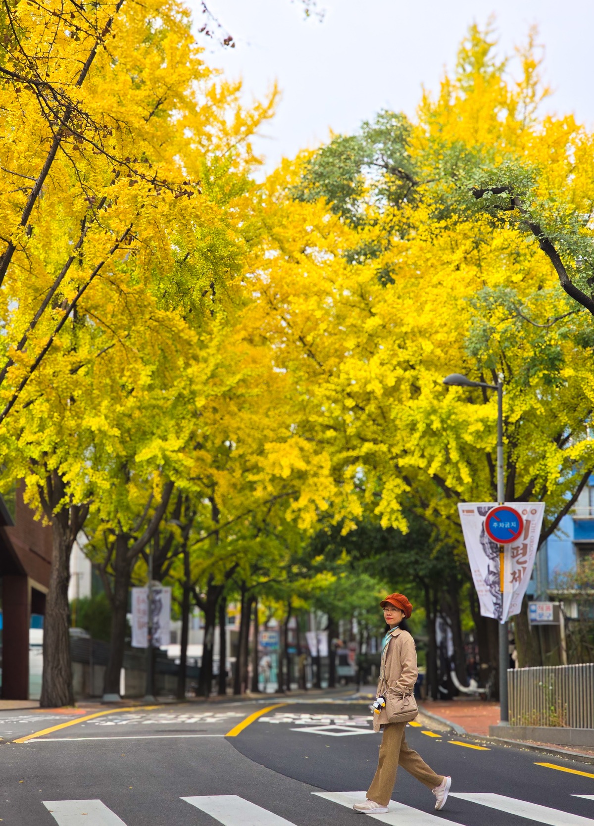 Địa điểm ngắm lá vàng Seoul 1